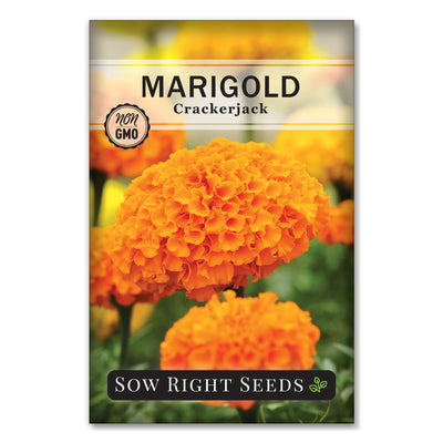 crackerjack marigold seeds