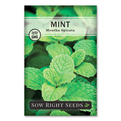 Mint and Peppermint Seed Collection