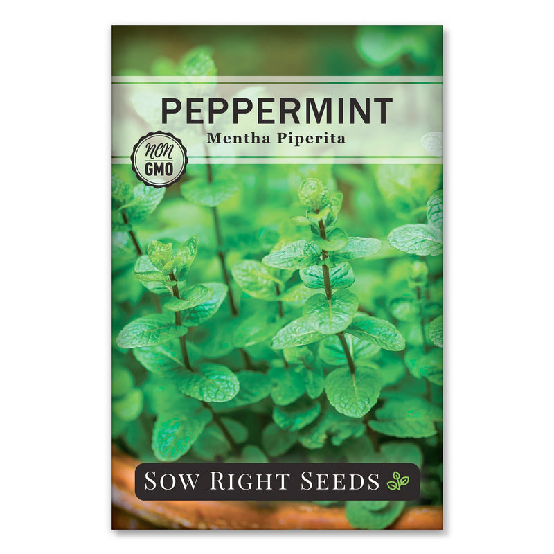 Mint and Peppermint Seed Collection