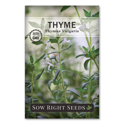 thyme seed packet