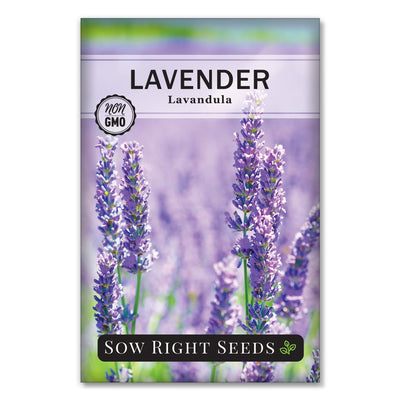 lavender seed packet