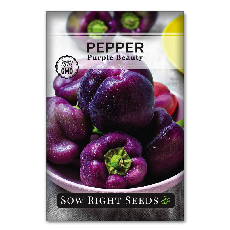 purple beauty pepper seed packet vegetables sow right seeds