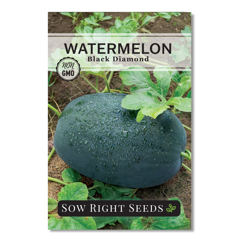 black diamond watermelon seed packet vegetables sow right seeds