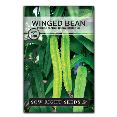 winged bean seed packet vegetables sow right seeds