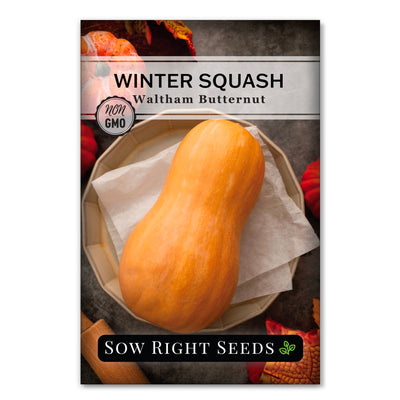 waltham butternut winter squash seed packet vegetables sow right seeds