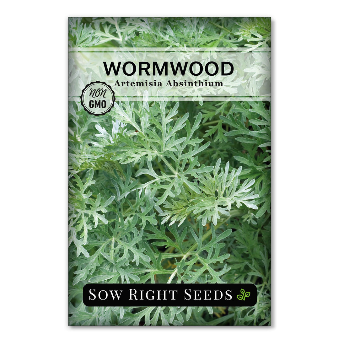 Wormwood – Sow Right Seeds