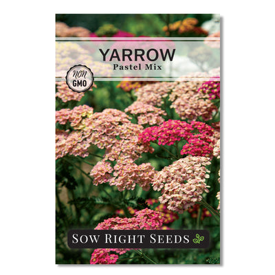 pastel mix yarrow seed packet flowers herbs sow right seeds