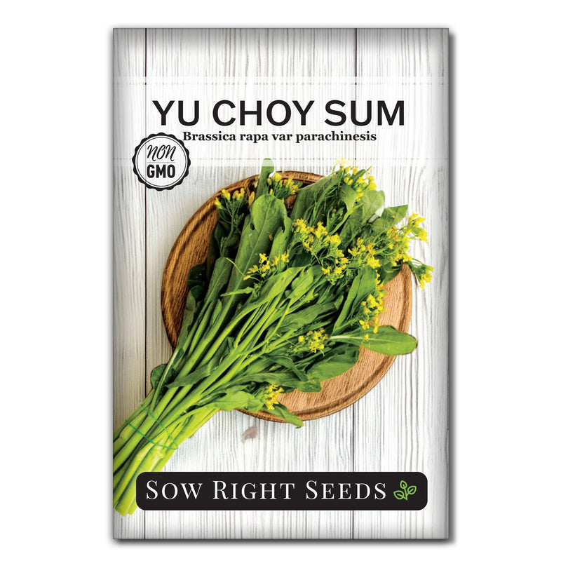 asian flower seeds Yu Choy Sum Seeds