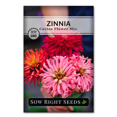 cactus flower mix zinnia seed packet