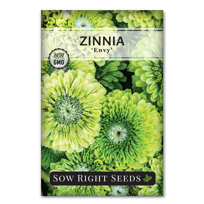 envy zinnia seed packet