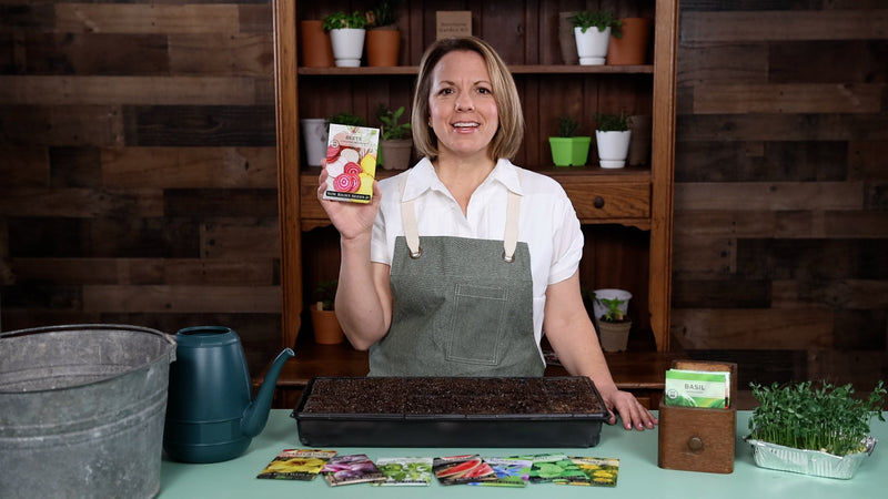 colorful mix beet product video why you should grow beet seeds sow right seeds video media