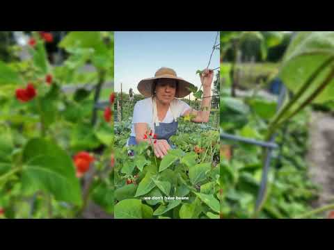 Scarlet Emperor Runner Bean Seeds