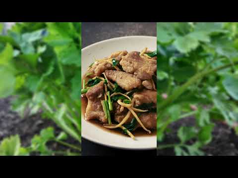 Chinese Celery