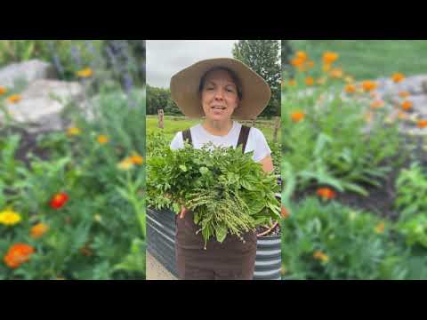 15 Herb Collection
