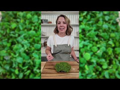 Microgreens Cress