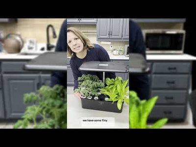 Hydroponic Vegetable Collection