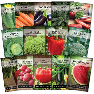 classic vegetable seed packet collection with 14 varieties of seeds for sale