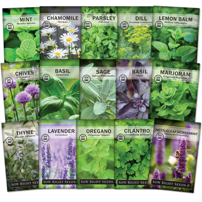 Fifteen herb seed packet collection with 15 varieties of seed for sale