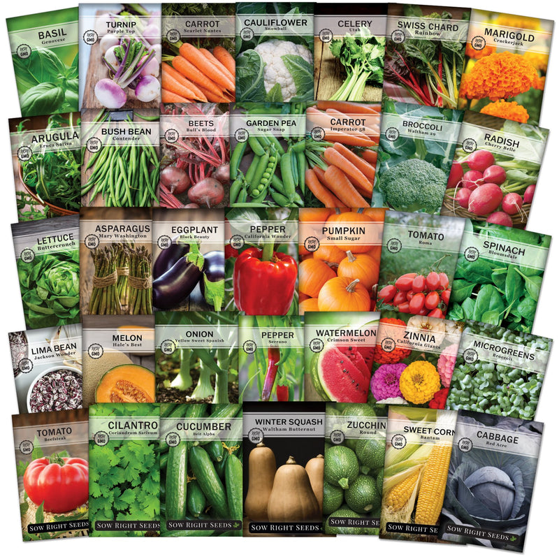 survival vault garden seed collection with 35 varieties to have seed stock preppers homesteaders