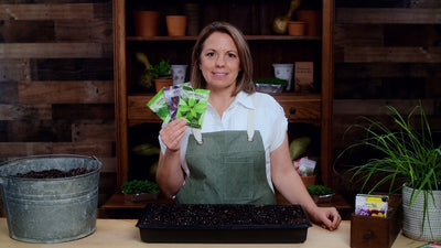 three basil seed collection product video why you should grow basil seeds sow right seeds video media