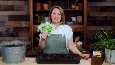 asian greens collection product video why you should grow greens seeds sow right seeds video media
