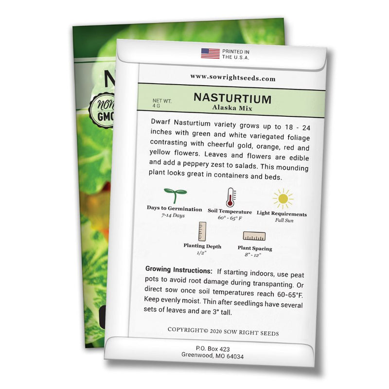 how to grow the best alaska mix nasturtium plants