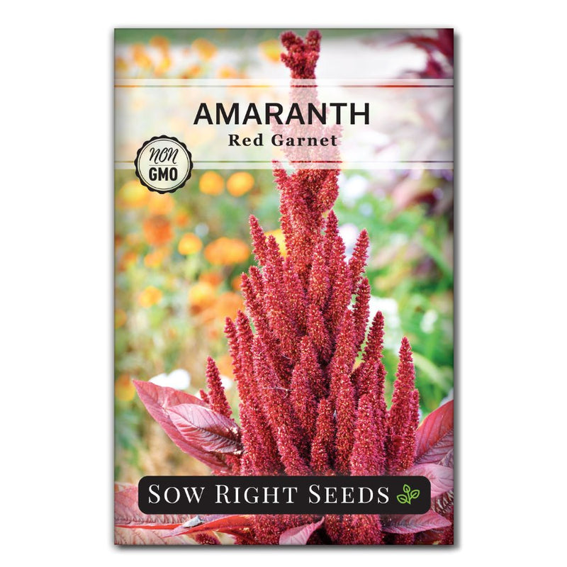 red grain vegetable amaranth seeds for sale