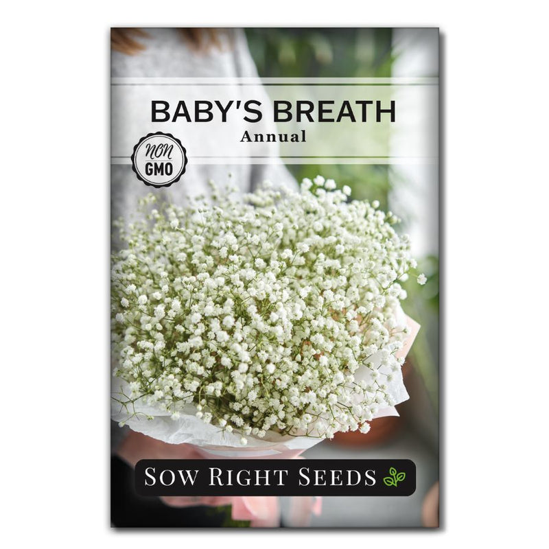 Sow Right Seeds - Annual Baby’s Breath Seeds for Planting - Non-GMO White Flowers Heirloom Packet with Instructions to Plant in Your Home Garden 