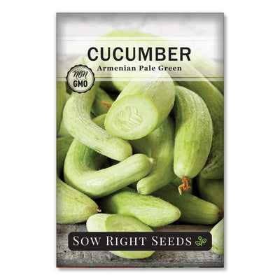 pale green ridged cucumber seeds