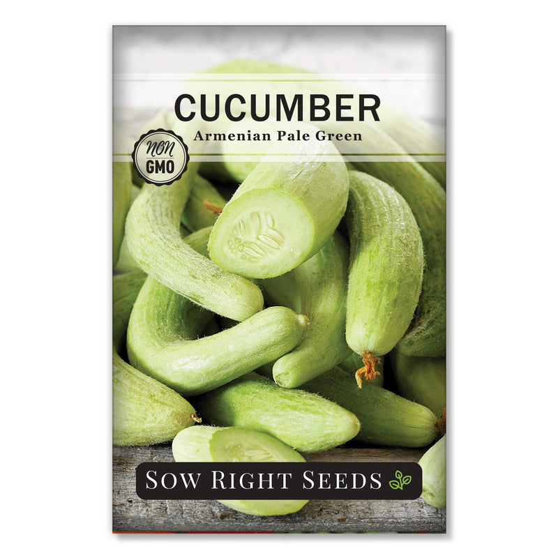 pale green ridged cucumber seeds