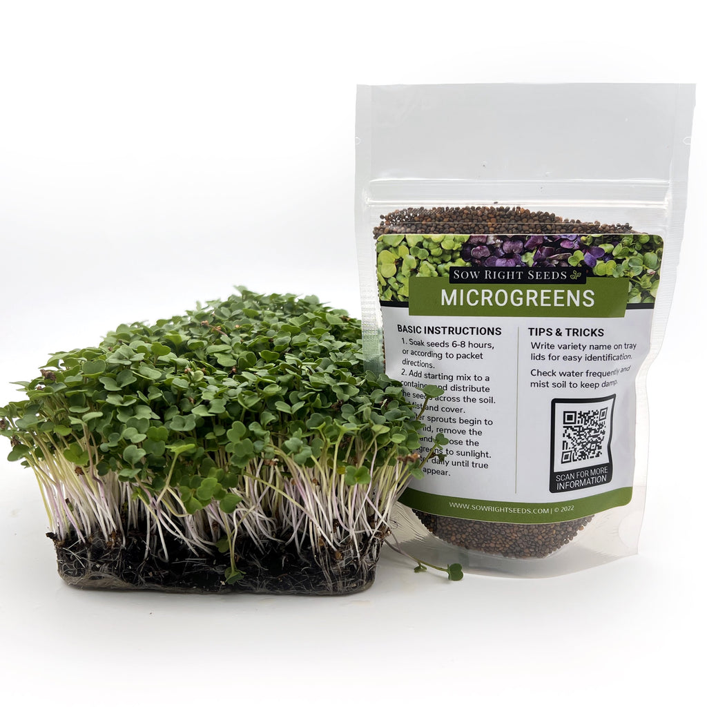 How to Grow Cress Microgreens  Planter's Library – Sow Right Seeds