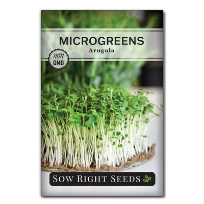 spicy nutrient dense arugula microgreen seeds for sale