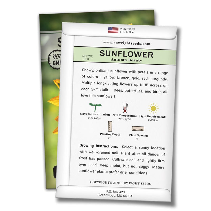 how to grow the best autumn beauty sunflower plants