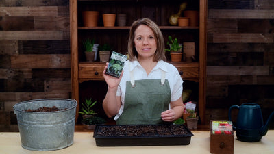 di cicco broccoli product video why you should grow broccoli seeds sow right seeds video media