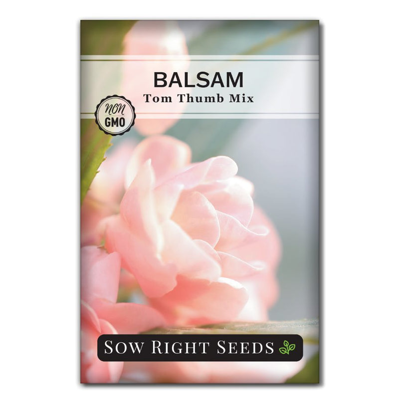 Kraft Seeds Balsam Tom Thumb Mix : .in: Garden & Outdoors
