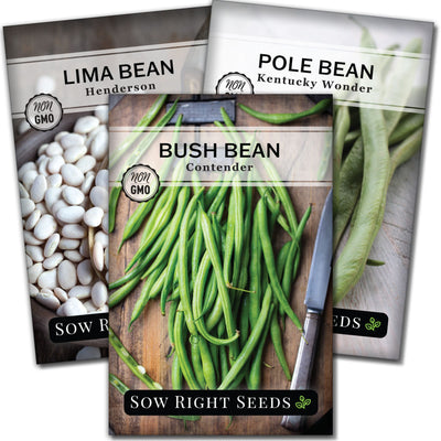 mixed bean seed packet collection with 3 varieties of seeds for sale