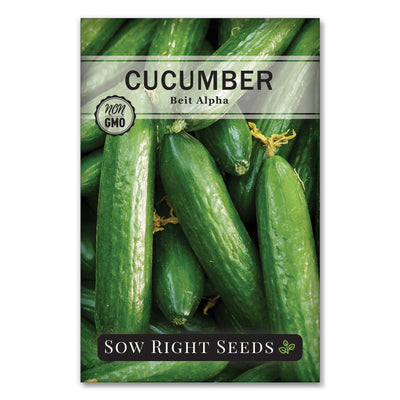 popular burpless tender mild pickling beit alpha cucumber seeds for sale
