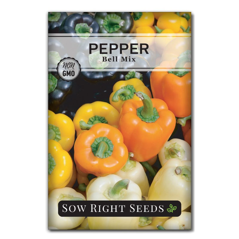 bell pepper seeds for planting Bell Mix Pepper Seeds for Planting