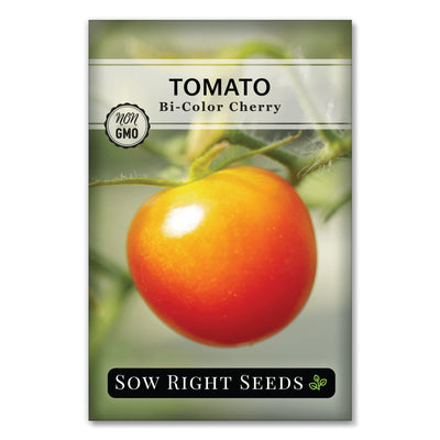 juicy sweet bi-color orange red cherry tomato seeds for sale