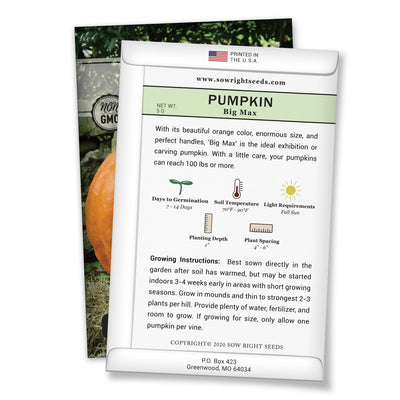 how to grow the best pumpkin plants