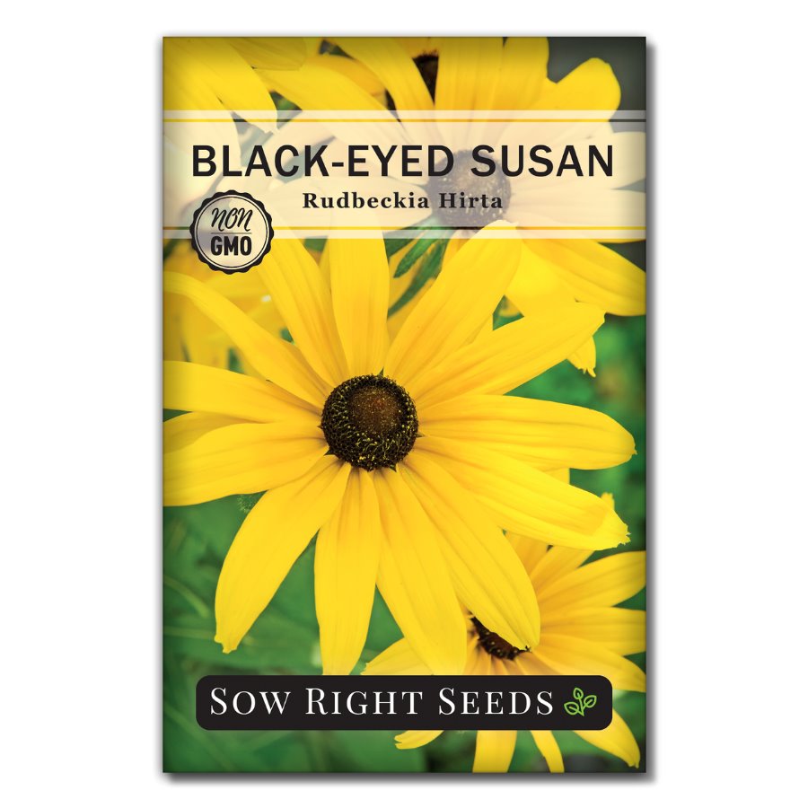 Sow Right Seeds Black-Eyed Susan Seeds