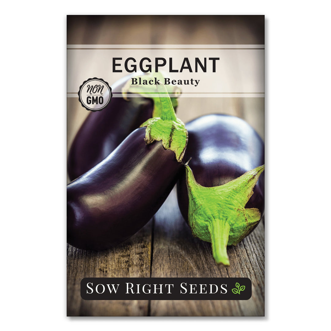 BlackBeautyEggplantSeedPacket_