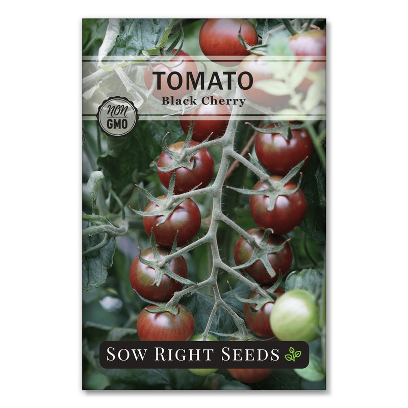 sweet juicy black cherry tomato seeds for sale