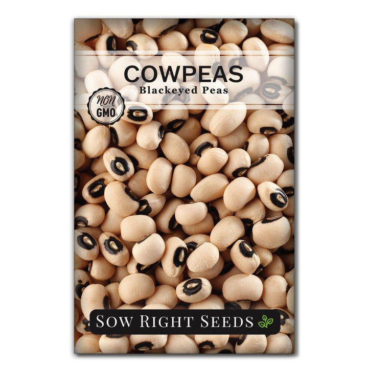 black eyed peas 8枚セット Amazon.com : Food to Live Black-Eyed Peas, 8 Ounces - Raw