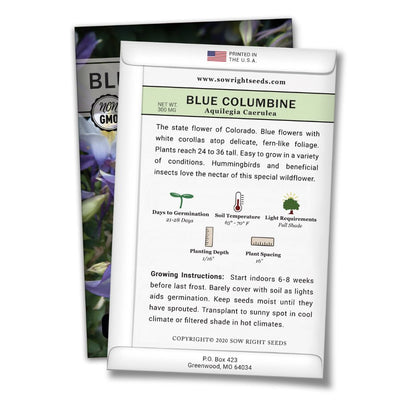 how to grow the best blue columbine plants