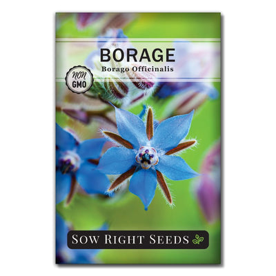 blue flowered medicinal Borage seeds for sale