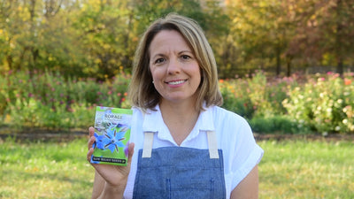 borage product video why you should grow borage seeds sow right seeds video media