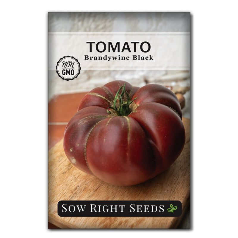 large slicer deep red brandywine black tomato seeds for sale