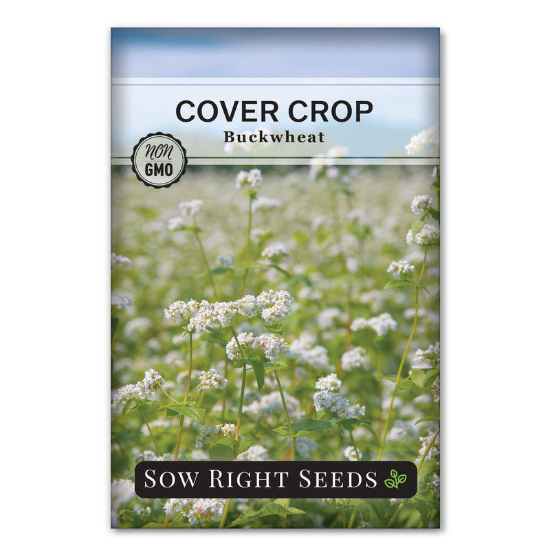 grain cover crop buck wheat seed packet