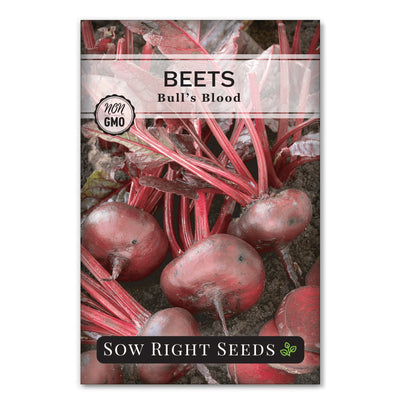 sweet delicious edible red purple leaves red bull's blood beets for sale